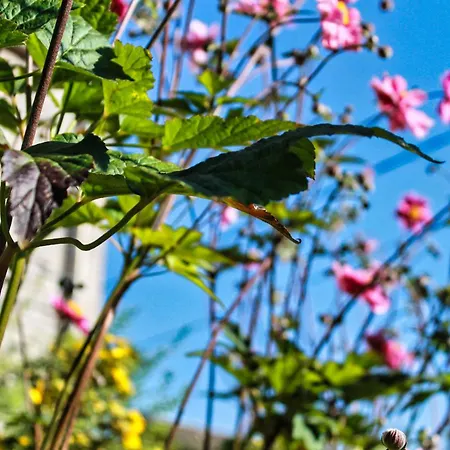 Le Relais De Lou Nocleg ze śniadaniem Jandrenouille