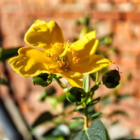 Le Relais De Lou Couette-café 3*