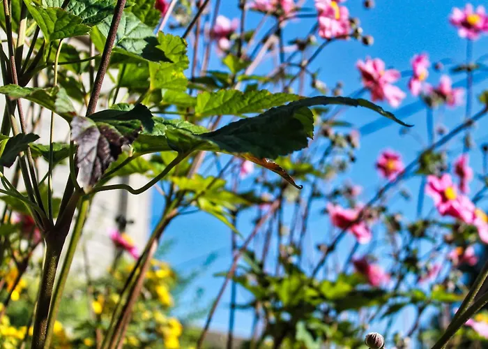 Le Relais De Lou Nocleg ze śniadaniem Jandrenouille