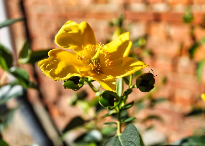 Le Relais De Lou Nocleg ze śniadaniem 3*